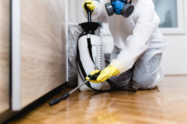 Best Local Pest Control Services  in Vassar, MI