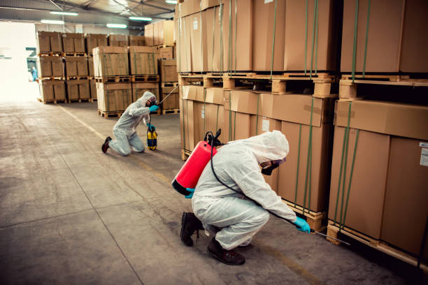 Best Ant Control Services  in Vassar, MI