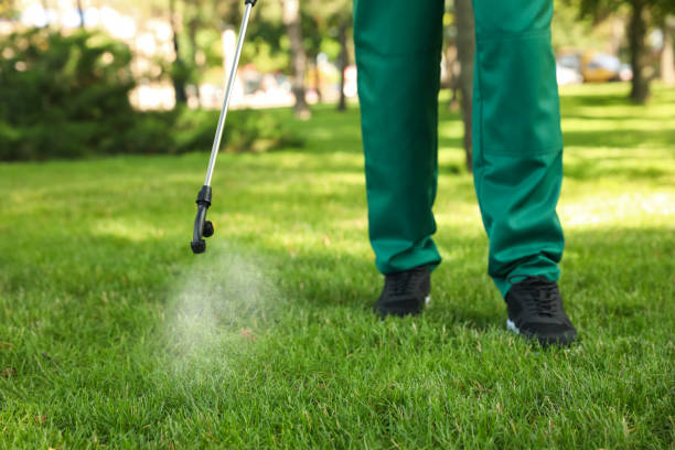Best Best Pest Control Companies  in Vassar, MI