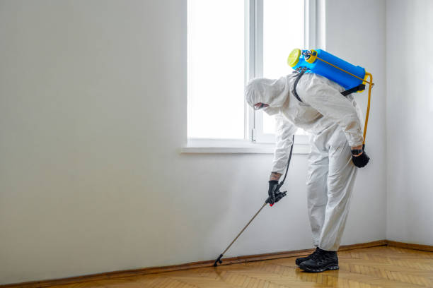 Wasp Removal Services in Vassar, MI