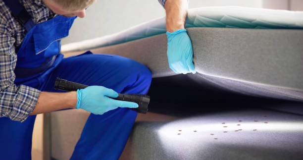 Best Commercial Pest Control Services  in Vassar, MI