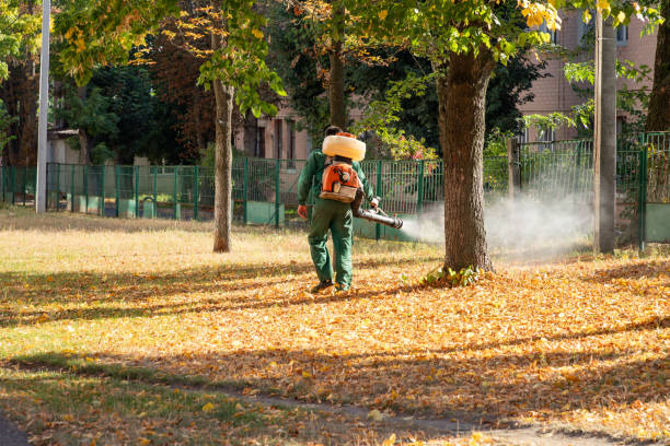 Best Emergency Pest Control  in Vassar, MI